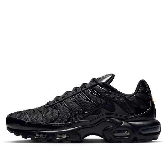 (Good)  Nike Air Max Plus Triple Black