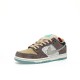 (80% ARR about)  Nike SB Dunk Low Big Money Savings FZ3129-200